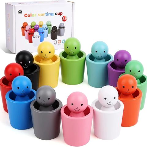 Educational Colour-Matching Montessori Toy 12pcs | ColourfulFriends™️