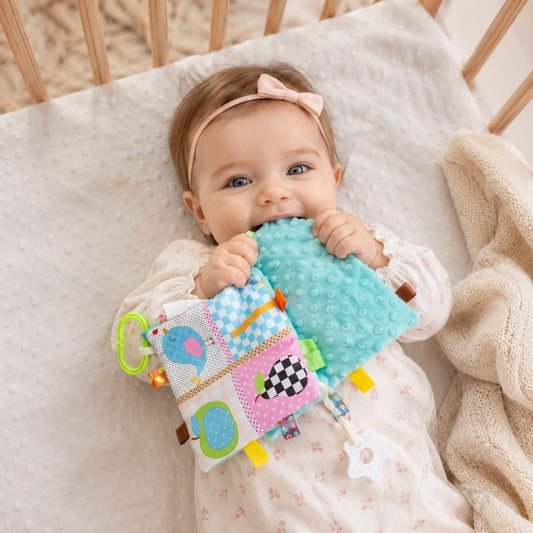 Infant sensory books