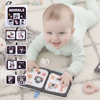 animal books