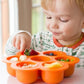 Teething Fruit Popsicle Molder Tray | TeethingLolly™️