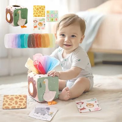 baby sensory toys