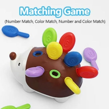 Sensory Hedgehog Colour Matching Montessori Toy | ColourHog™️