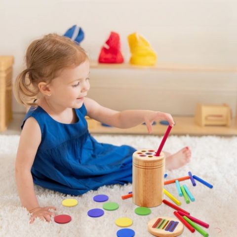 Colour matching toy