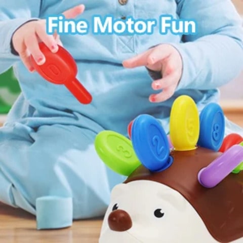 Sensory Hedgehog Colour Matching Montessori Toy | ColourHog™️