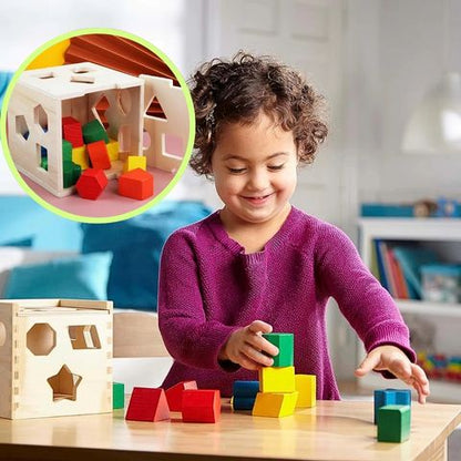 Vibrant Montessori Wooden Shape Cube | TactiCube™️