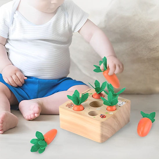 shape sorting toy