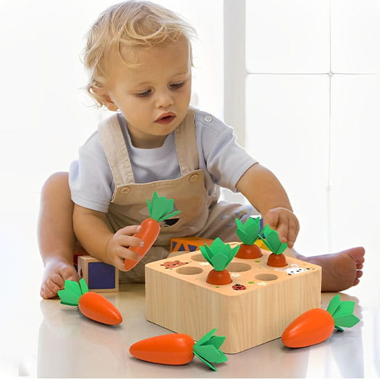 shape sorting toys