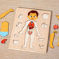wooden puzzles