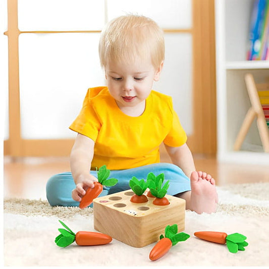 wooden shape sorter